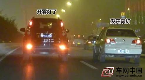 高速路上有大雾？该怎么安全行车？