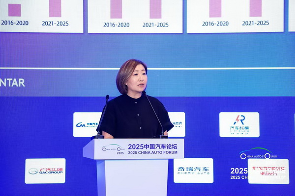 张霖：中国汽车品牌：全球化破局点